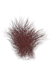 thumbnailRed.png.ed93582861784a8a6cb72b7711695545.png