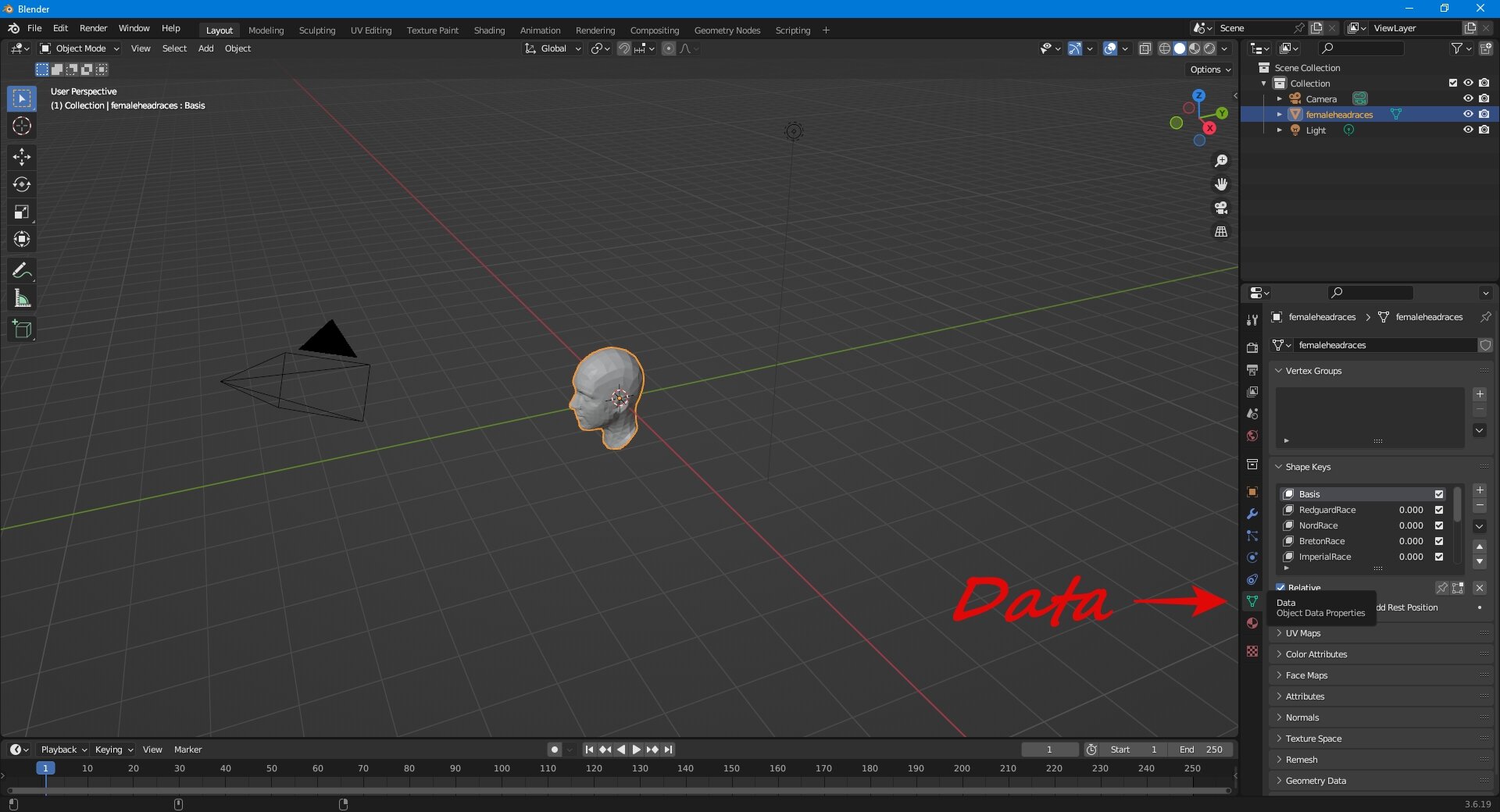 Blender-FemaleHeadRacestri-Data.jpg.b61cd048f84406612cf698c238a69766.jpg