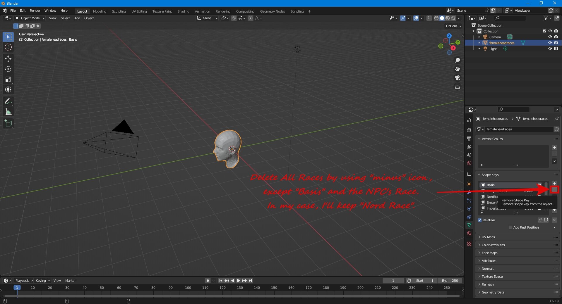 Blender-FemaleHeadRacestri-DeletebyMinus.jpg.e021793c9522c3830185c377cf654974.jpg