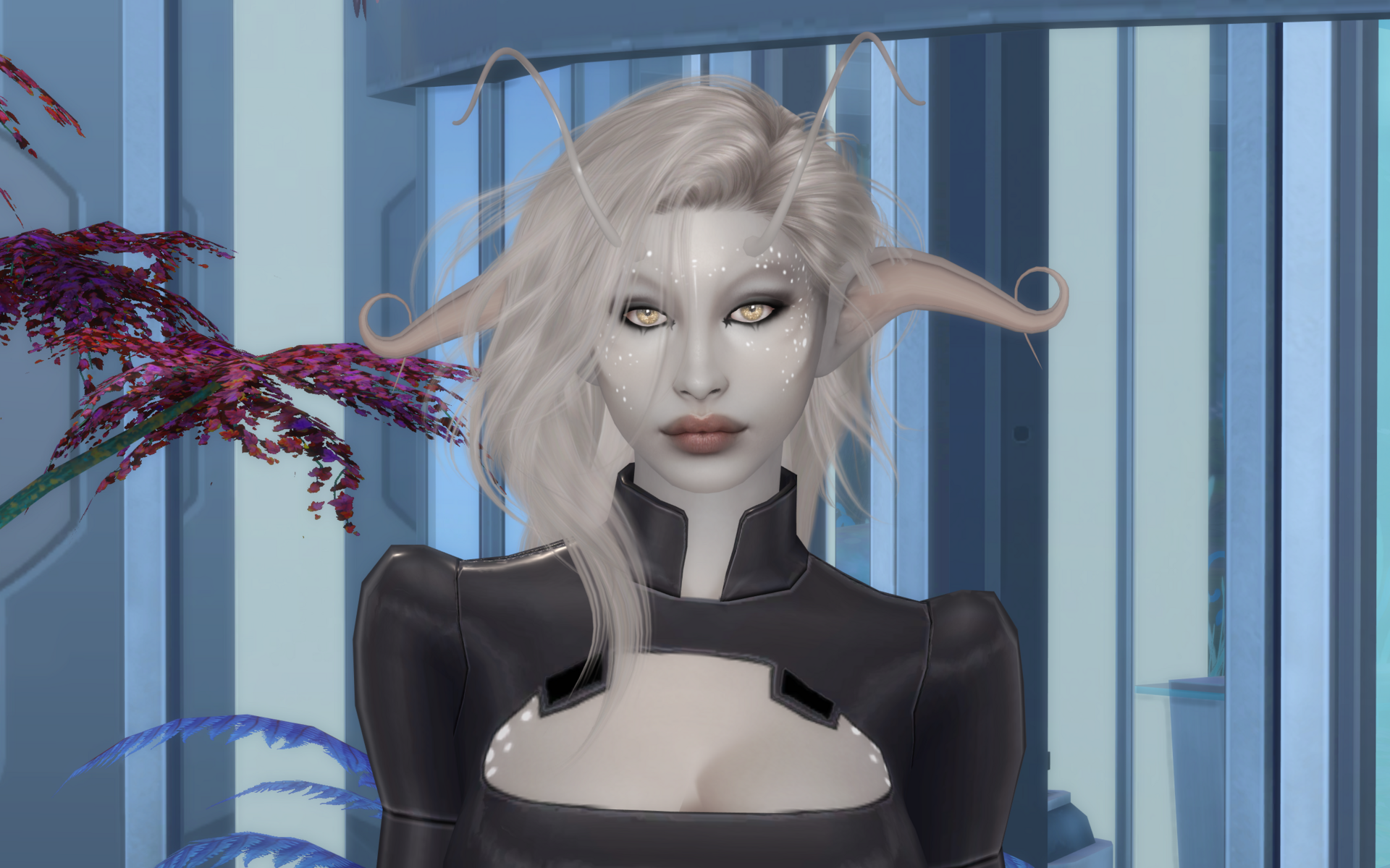 Capturedcran2025-02-19012032.thumb.png.9a3bb4e5adf2bf663f0296f4522fa0a2.png
