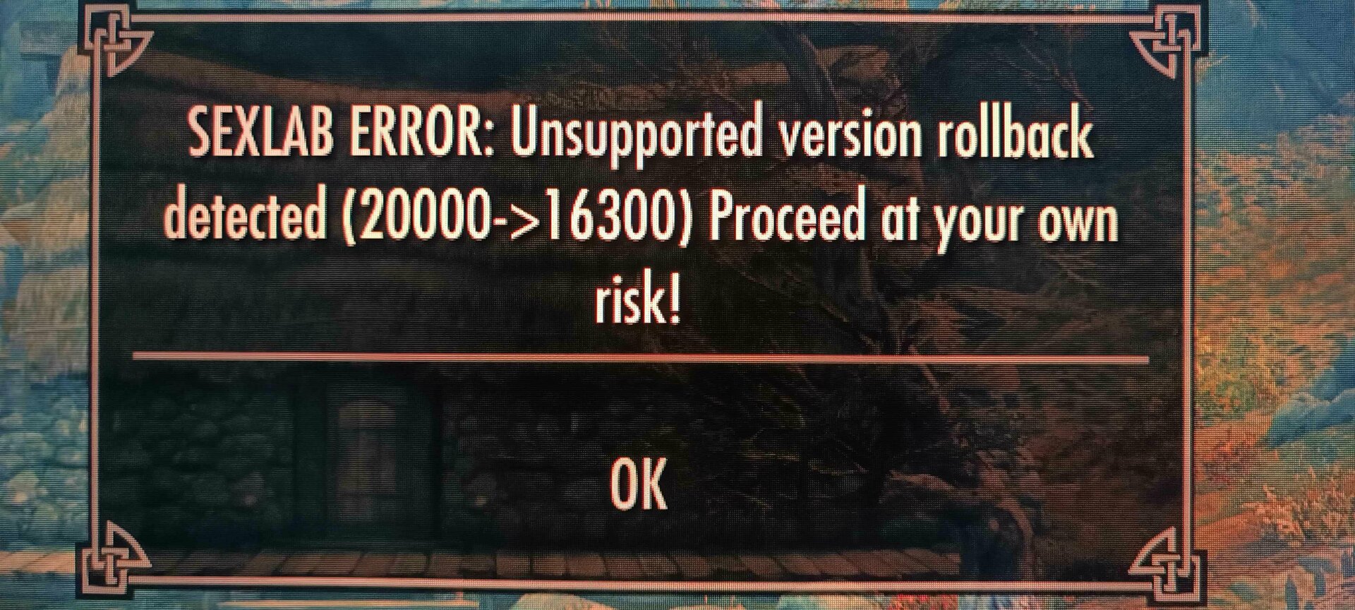 SkyrimBug.jpg