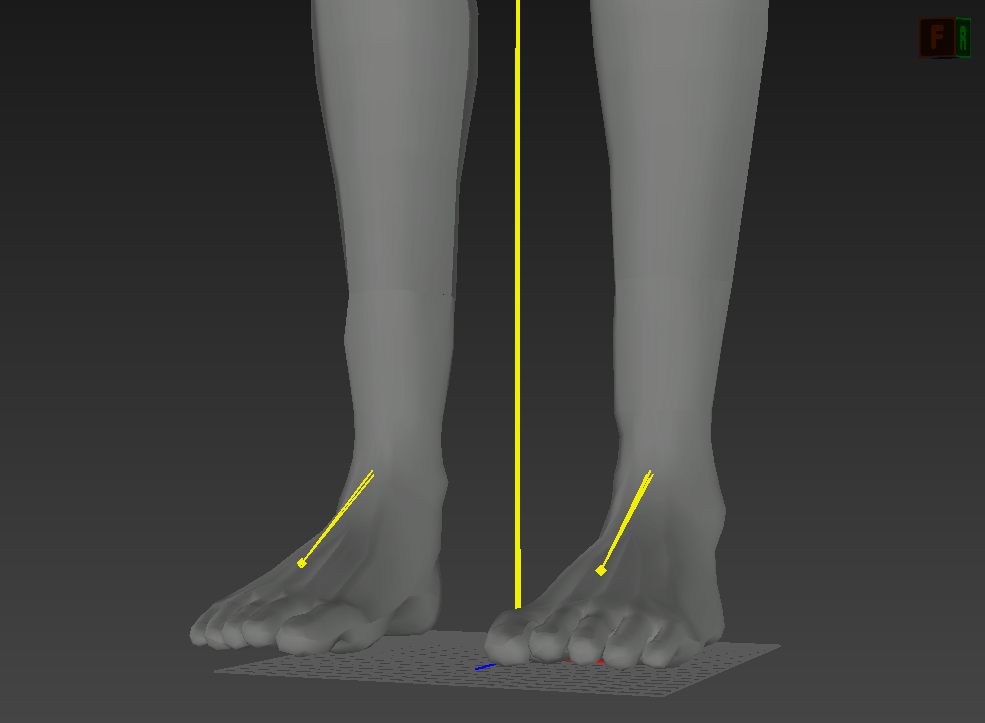 SneakerSocks1