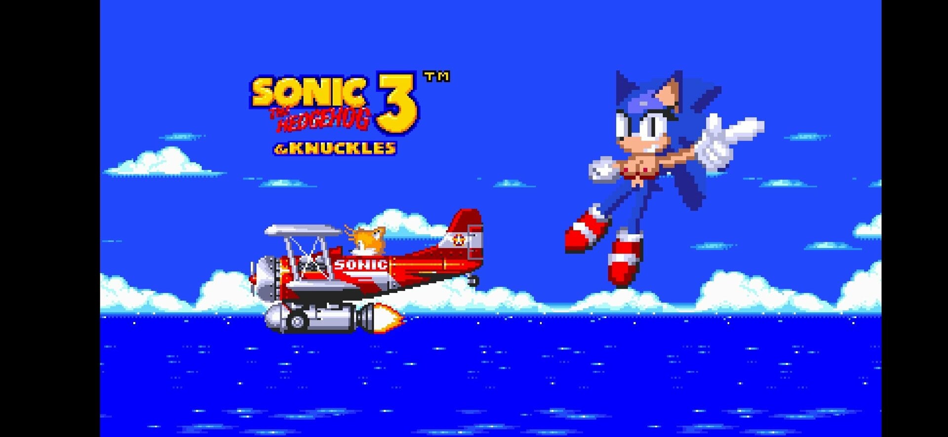Screenshot_20250323-180128_Sonic 3 AIR.jpg