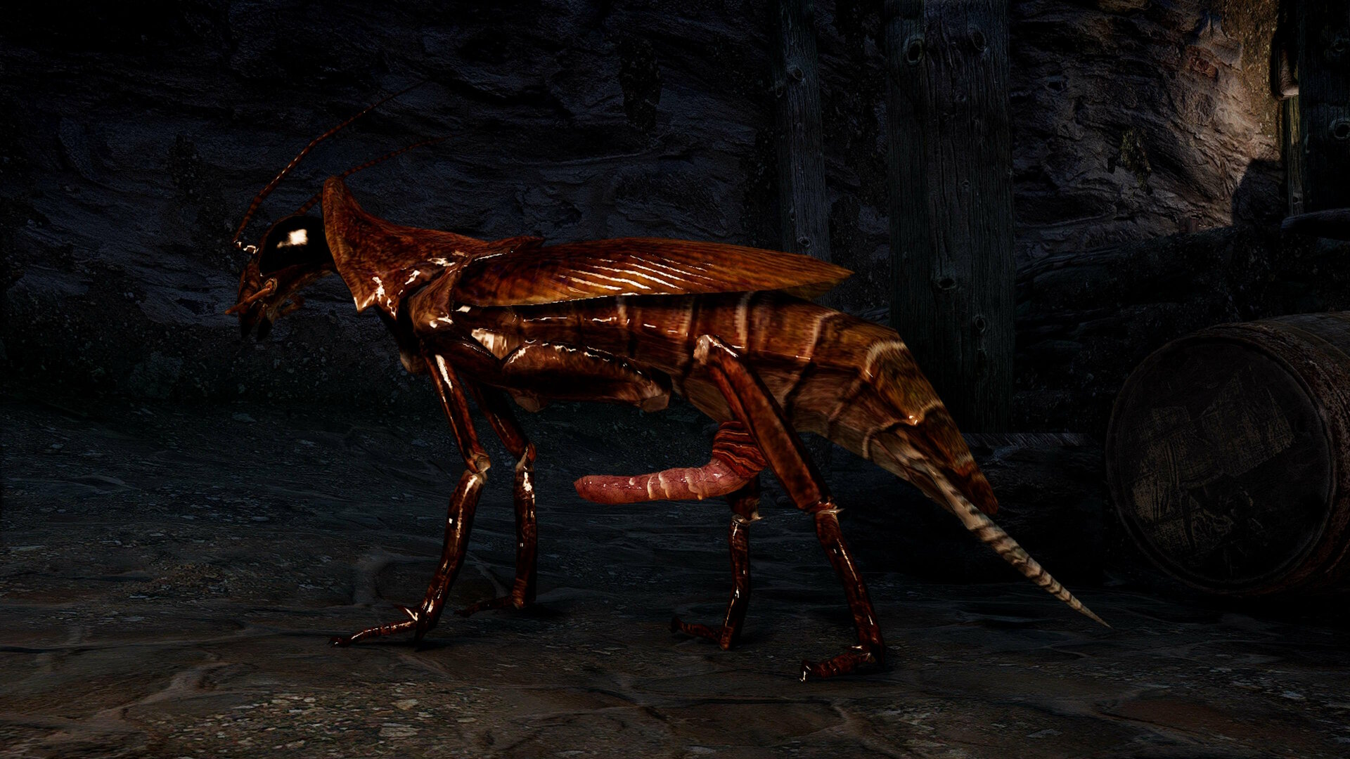 SkyrimSpecialEdition2025_3_920_13_33.thumb.jpg.dbeaae936a31d7ebd326f3baa7069f09.jpg