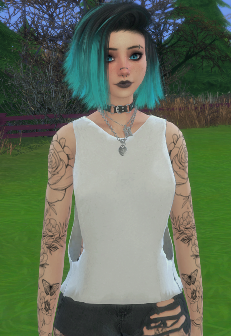 ingame1.thumb.png.e4feabd23087e6f9b54d33998024b66e.png