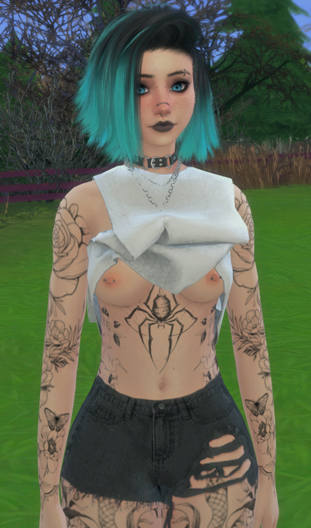 ingame4.thumb.png.c22841e9b2a1cd916eb7058fc09bc772.png