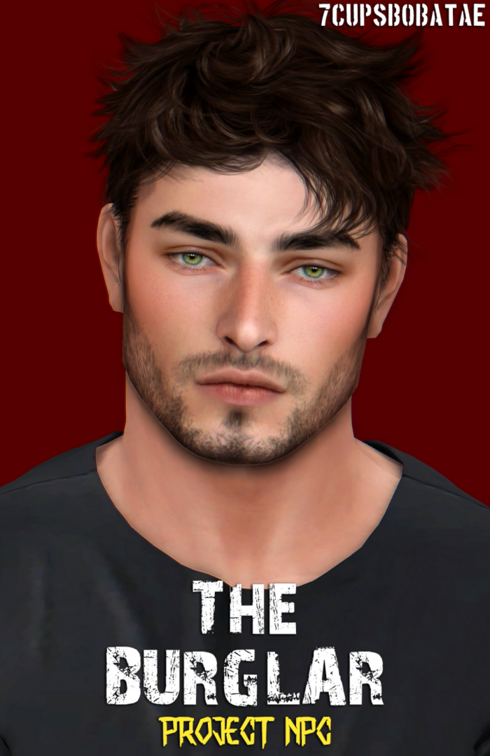 theburglarbanner.thumb.png.d9c6ebbdbed2fb748dcae3d618bc5207.png