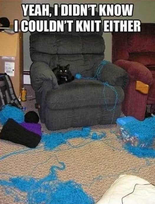 CatCantKnit.jpg.beaeaa752f786cffca24c55aff2d1eee.jpg