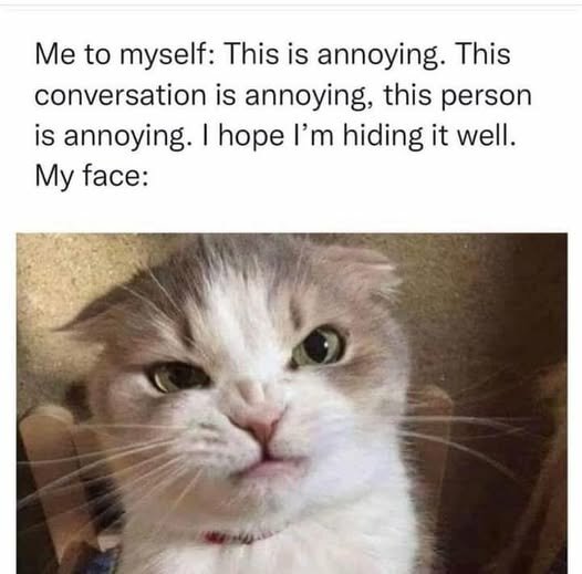 CatFailedAtHidingAnnoyedFace.jpg.74b9c799a903591f787d7c2105c7dd30.jpg