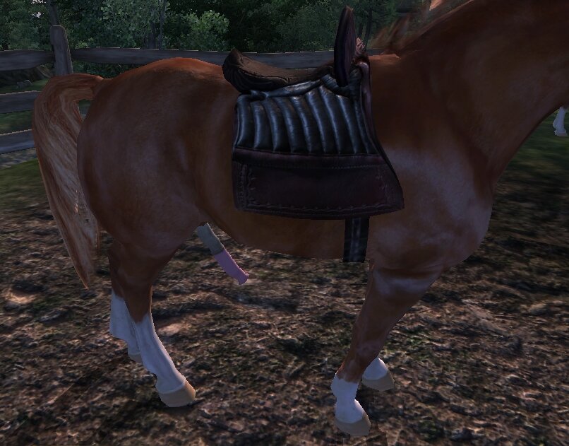 ScreenShot240.jpg
