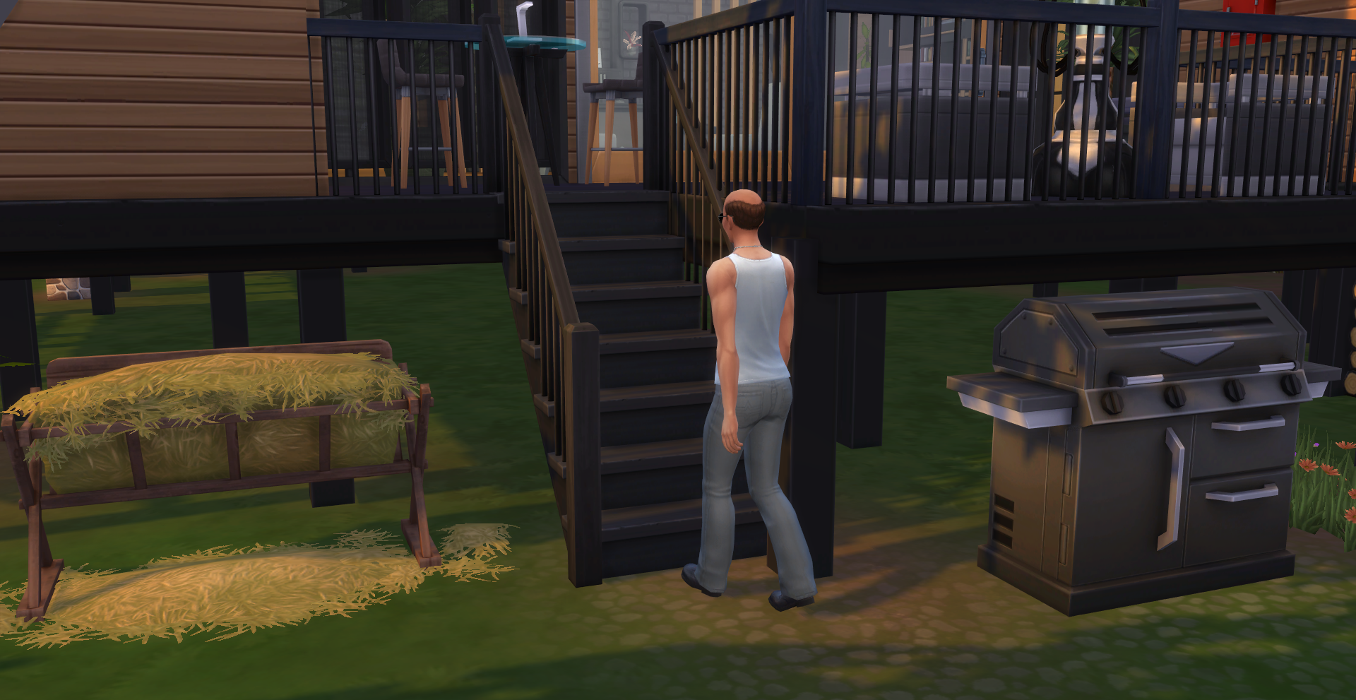 TS4_DX9_x642025-04-1500-28-49.png.64288c0f7951c4fcb989dd4afdf94316.png