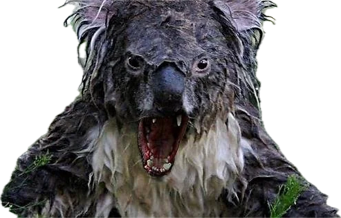 image.png.04aa36fd7018a9f4033a0b03246041d0.png