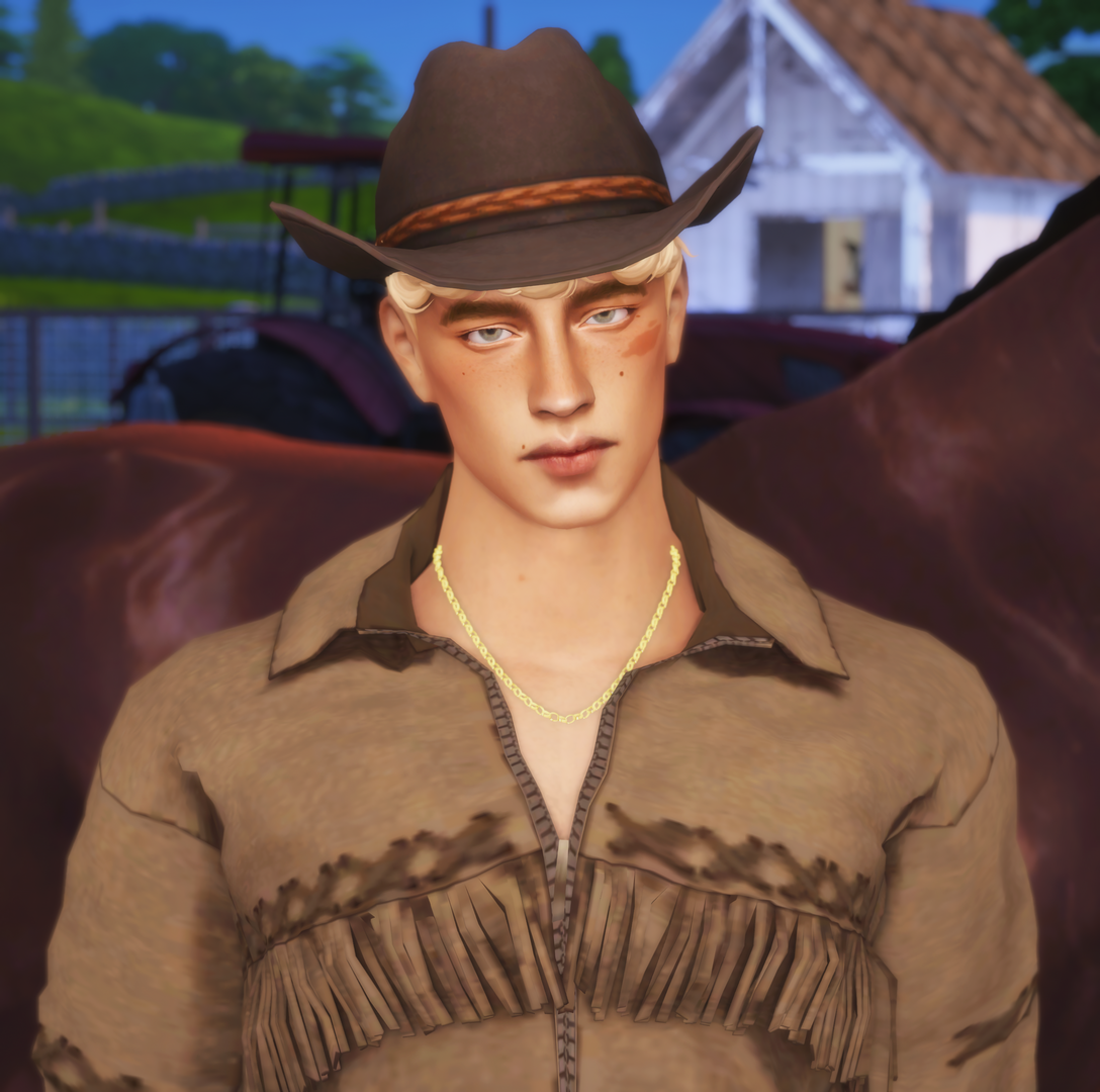 123sd.png