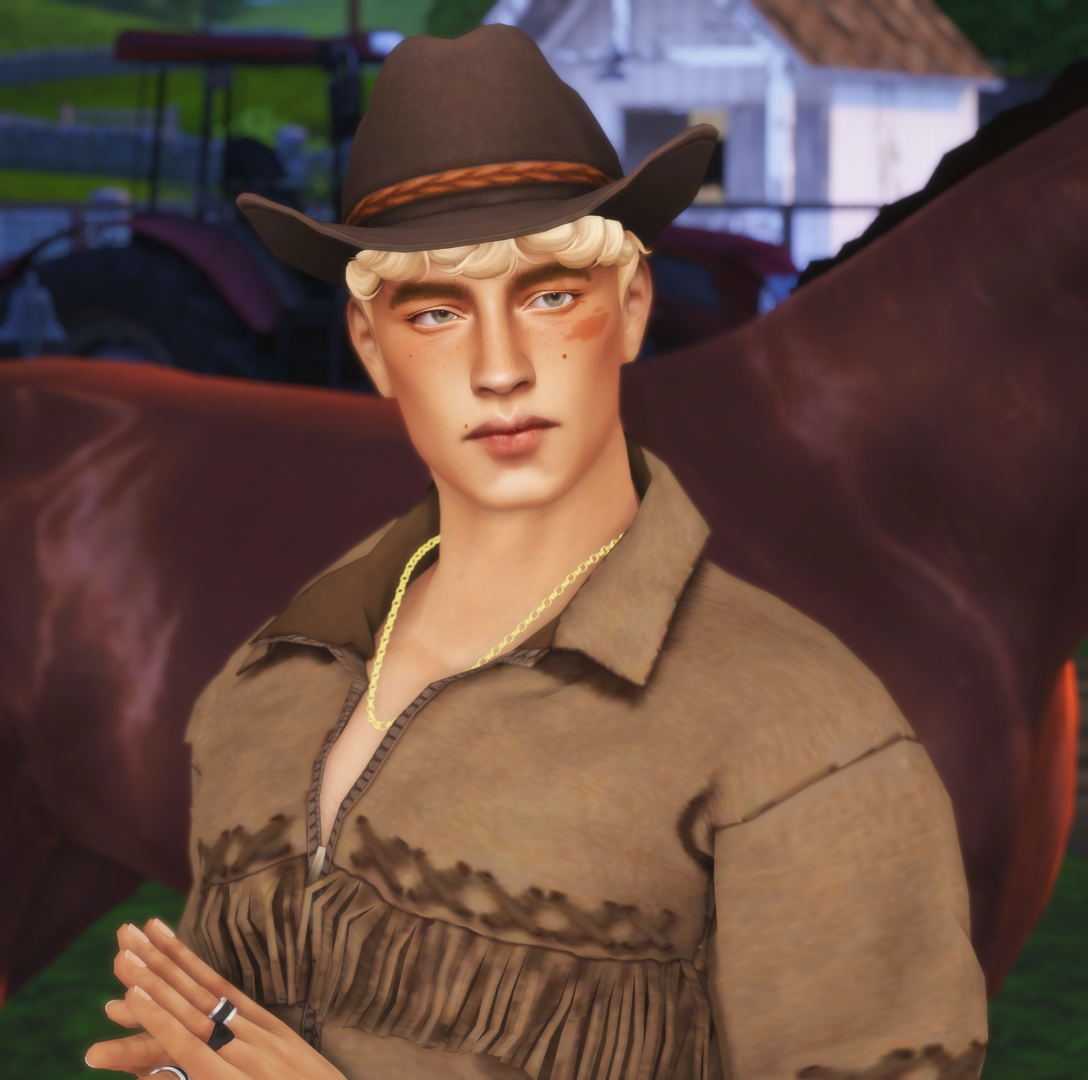 123sdc.png