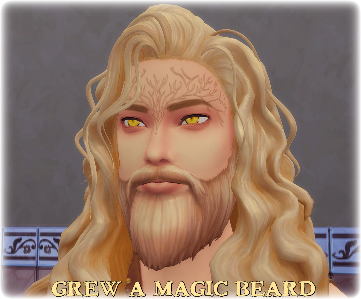 Beard.png.86c892e7652621d7f8ec85bea299000b.png