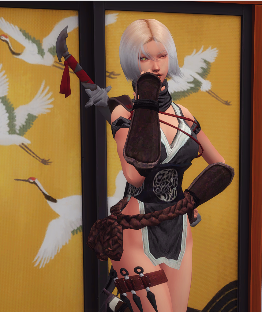 Kunoichi3.png.311ed908cbe40b9ca2b6e390da597751.png