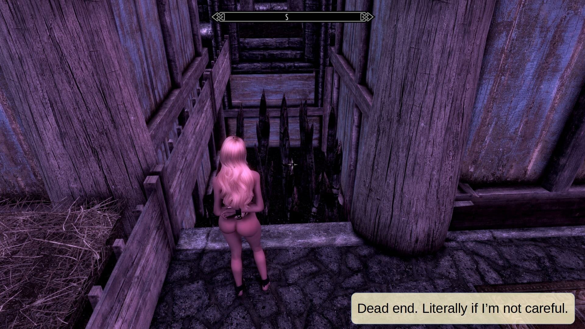 SCBDreamQuest-05.jpg.eefc310281e64321012fbbe739180240.jpg