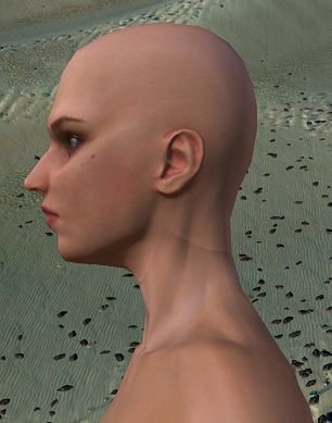 seamontheneck.png.03df27578cdb7b293137fc98bb292fea.png