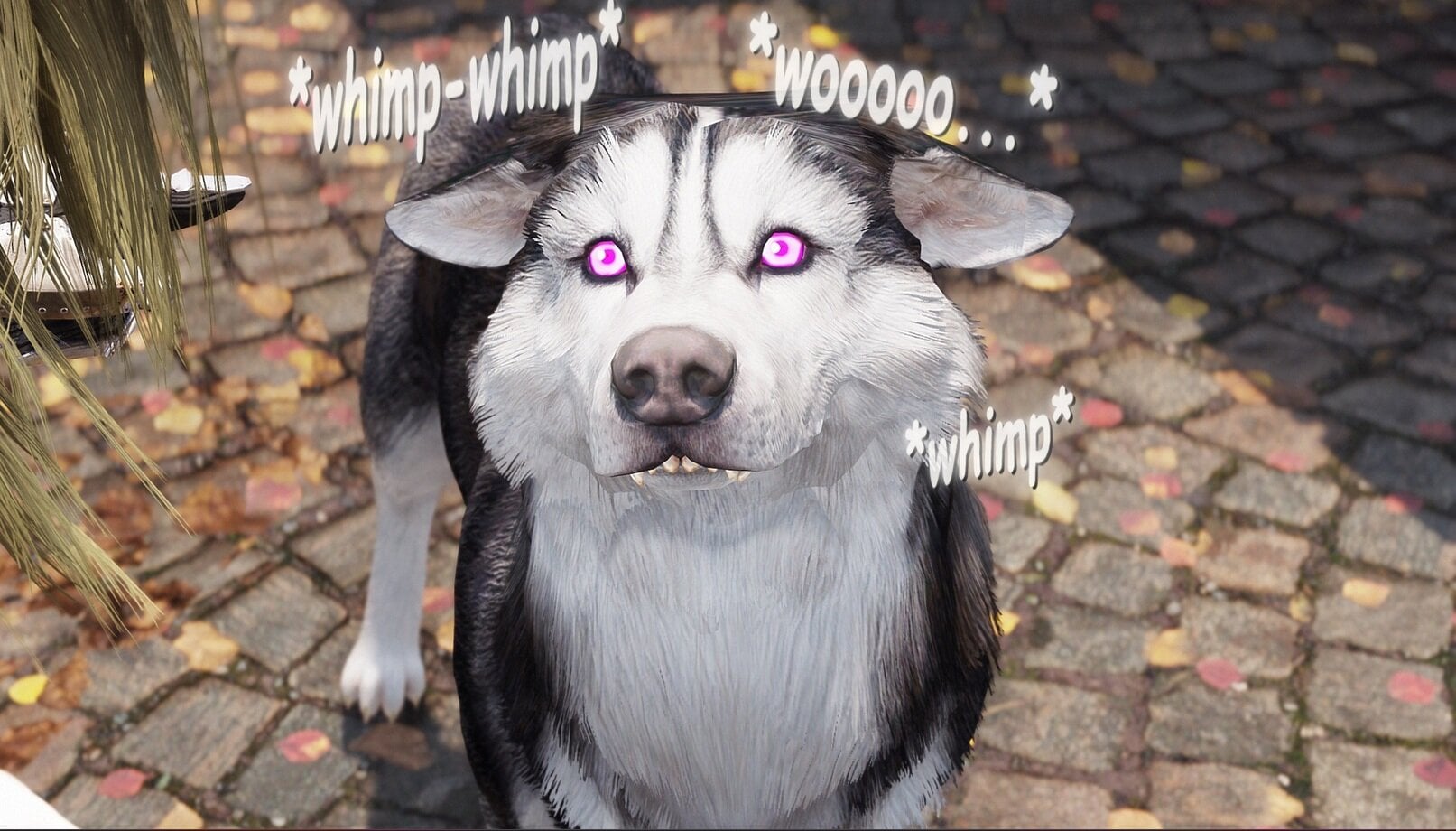 BestBoy.jpg.6a6d6f547d49e96ec6c7f630a661c9fc.jpg