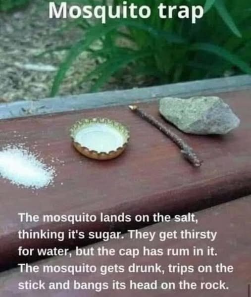 LLmosquitoTrap.jpg.cf52ef767f499fcc744dad8237a59960.jpg
