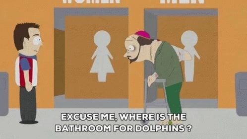 dolphins.jpg.653c247c6af24a00f00464fadfb28d4a.jpg