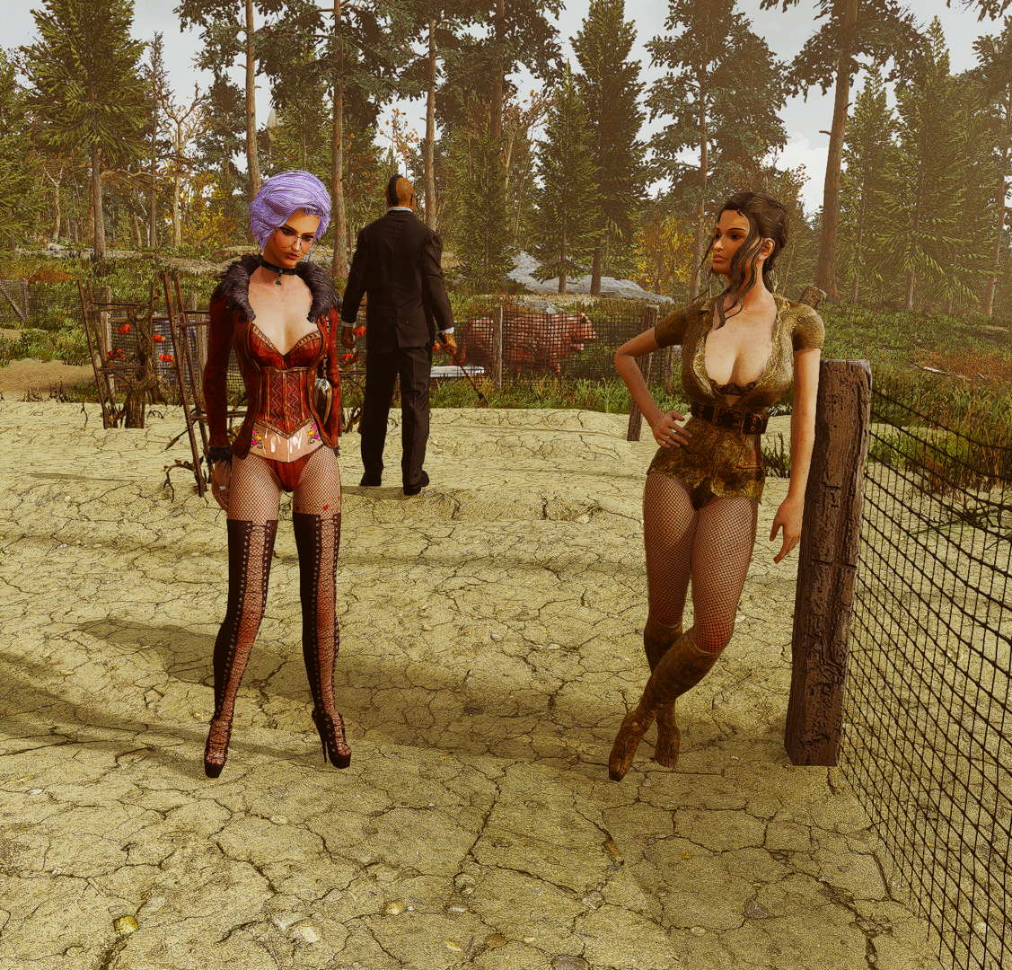 image.thumb.png.92d52704e16e972dbe8c9c4afc8b133d.png