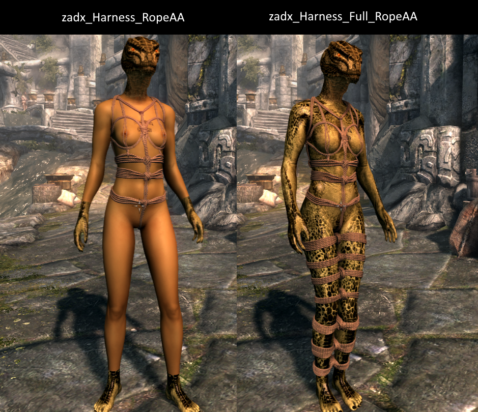 ropeharnessbodytexturebug.png.04bbec3761213d22cf904ab1962d5483.png