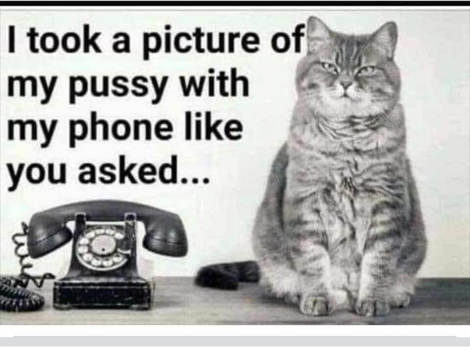 81e8801690d3a9c66a17ee71e5c6d99f.jpg.04f17df5c12b393d5d4a48371f0d28fc.jpg