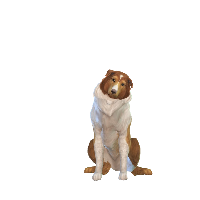 AaliyaKhan-Sim-Shadow-640x640.png.dd2d4f05df42338e8467b3c07e73d9dd.png