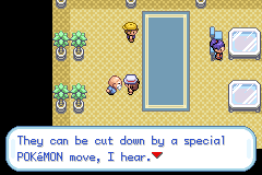 Pokemon-FireRedVersion(USAEurope)-5.png.06bf2d06c805813066c6f1aef6dc799b.png