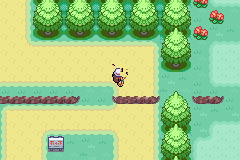PokemonFireRedFemaleNudePatchV4-12.png.ecda42a26110050132de056aa9368c75.png