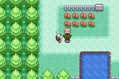 PokemonFireRedFemaleNudePatchV4-5.png.760ebbdabaf24174e3fc4a5329b9e467.png