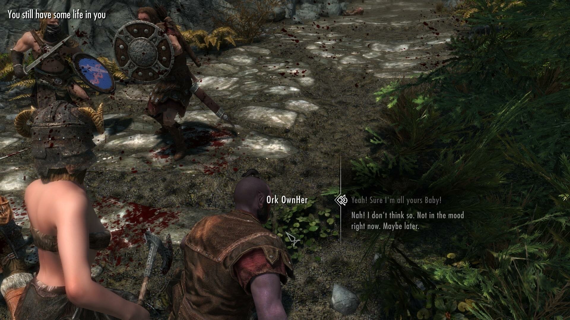 SkyrimSE2025-07-1921-35-06-38.jpg.bc032c1f1630f672d5454018faec7bf8.jpg