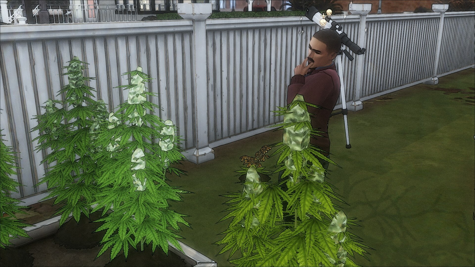 TS4_x642025-07-1218-48-25_207.jpg.0e43a5f4cce8f705d13c866a37963e31.jpg