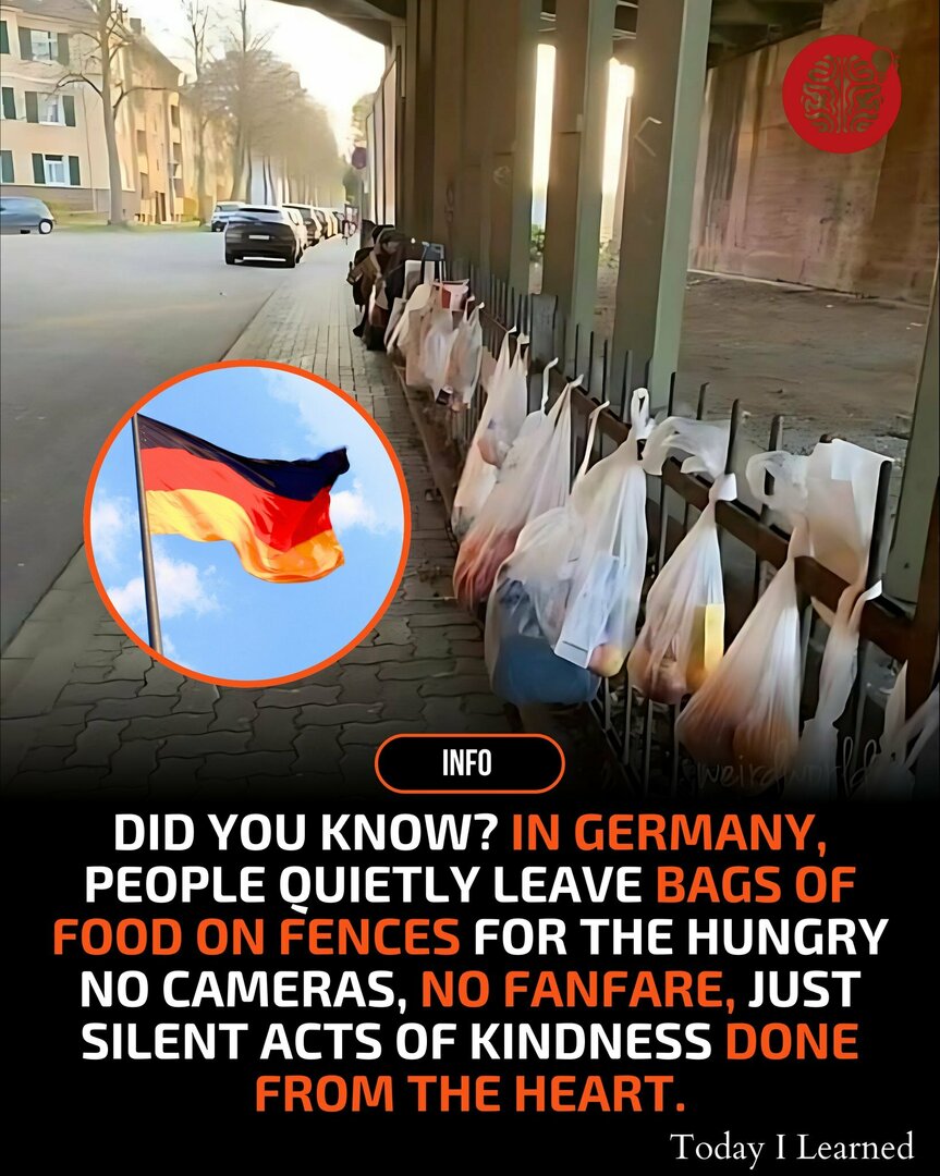 germany.thumb.jpg.aef6b956ffbb04044475fc51805e3f38.jpg