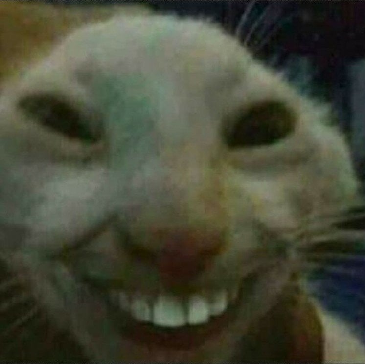 image.jpeg.6fd822d8625ac5f72d06649f54f01d74.jpeg