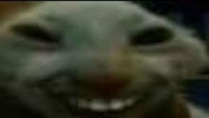 image.jpeg.fc647adc4406adc261bc3e05033458fe.jpeg