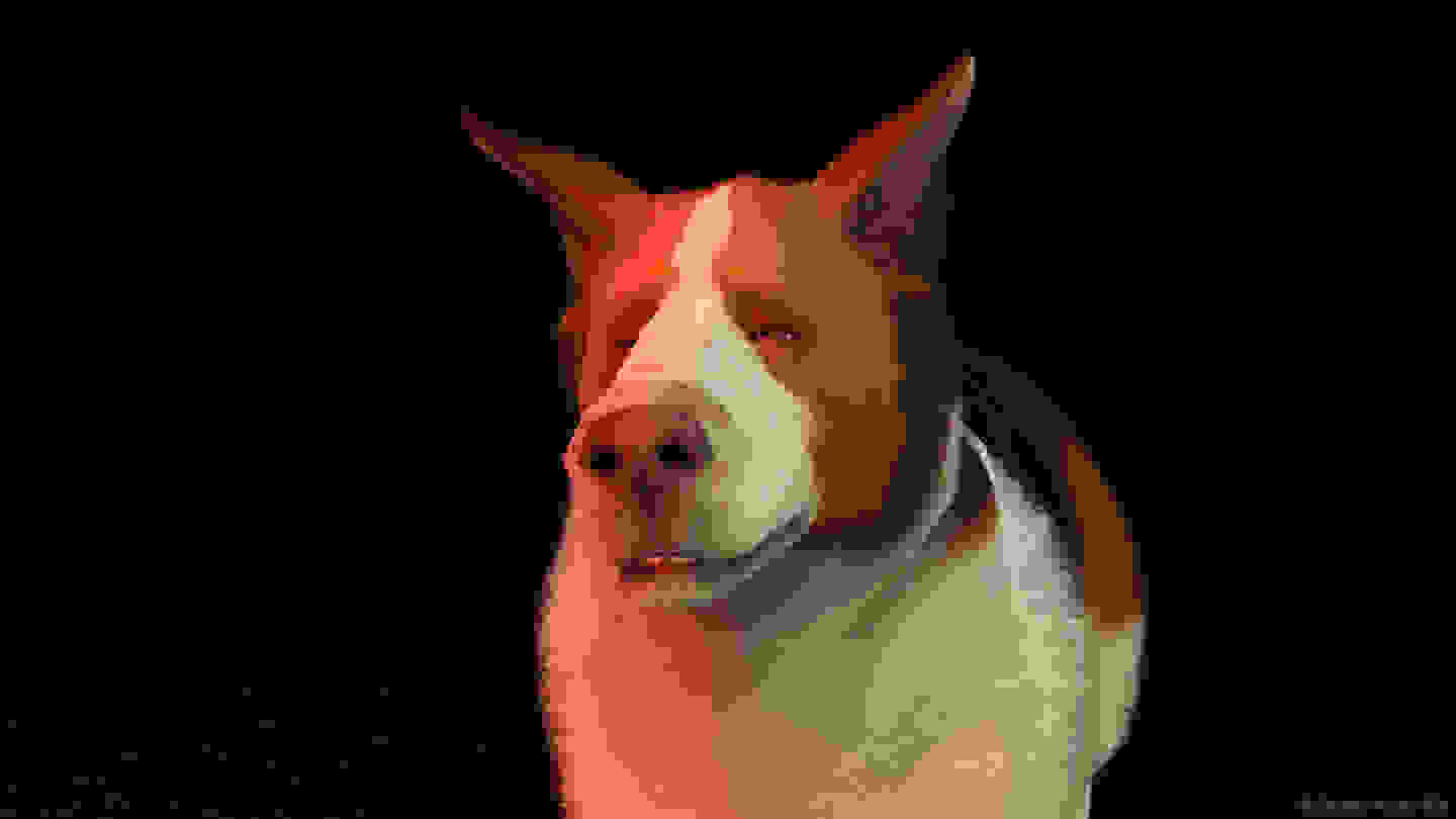 BrisbaneAustraliaDog.jpg.af5e7329dc35d0e0b15de9cce8d31db8.jpg