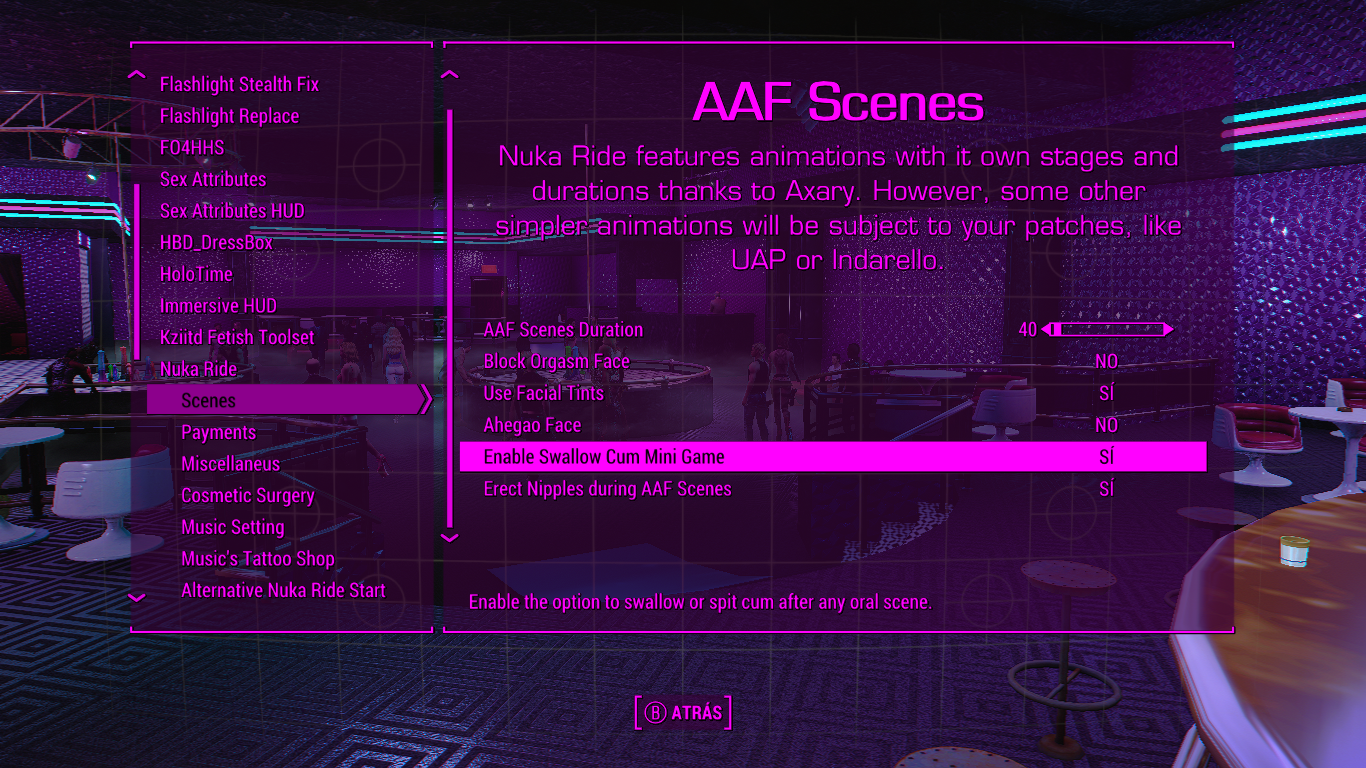 Fallout4 4_8_2025 18_41_00.png