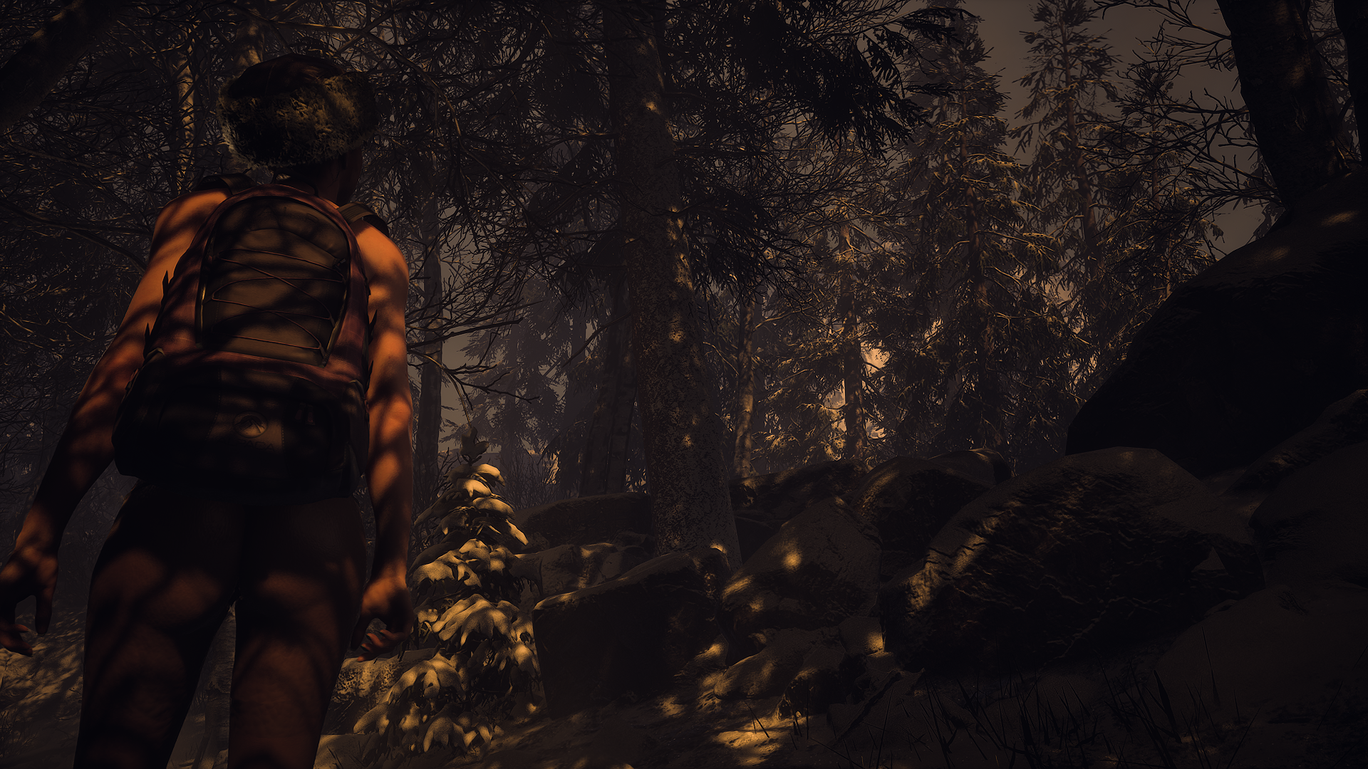 UntilDawnScreenshot2025_08.26-04_32_07_15.png.b6d2e7438baa877778ad20b038e7792a.png