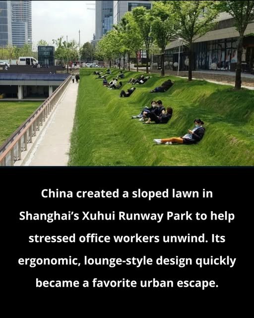 chinarelax.jpg.7432efc95c4c28a9effe292a7bae507b.jpg