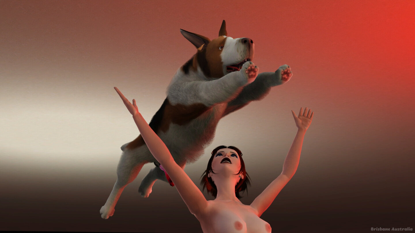 BrisbaneAustraliaDogJump.jpg.b0d721be171960d4d3dd66f164a4967d.jpg