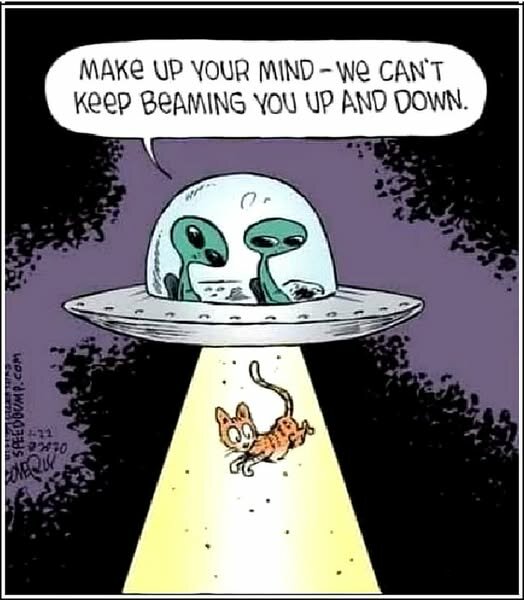 CatBeamingUpAndDown.jpg.ea509285743e01da80e512af4a07a60c.jpg