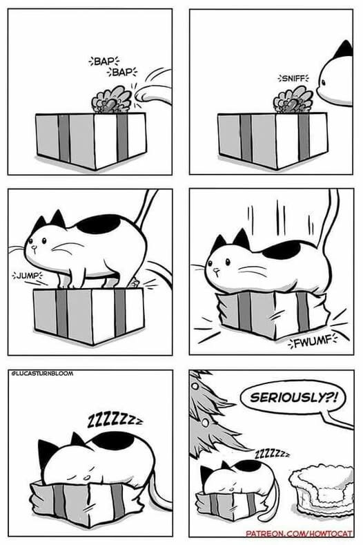 CatBedPresent.jpg.6db1170b4566cfcadac97867a6e19692.jpg