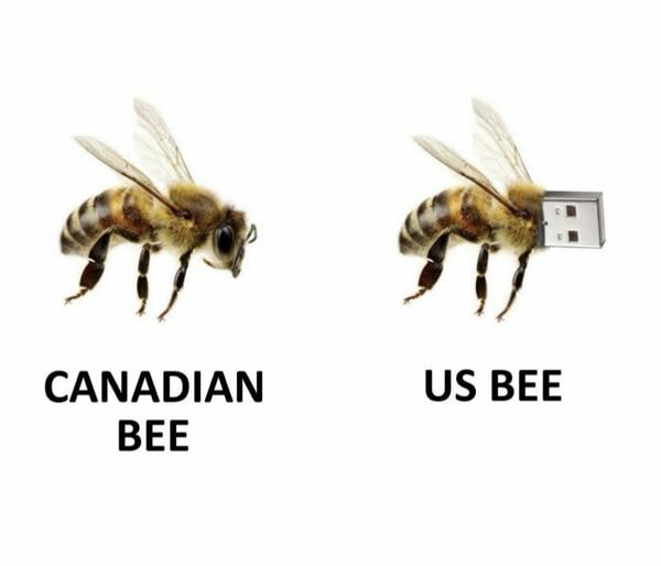 JokeUSB.jpg.b375f64308ec36471091e949c20b19af.jpg
