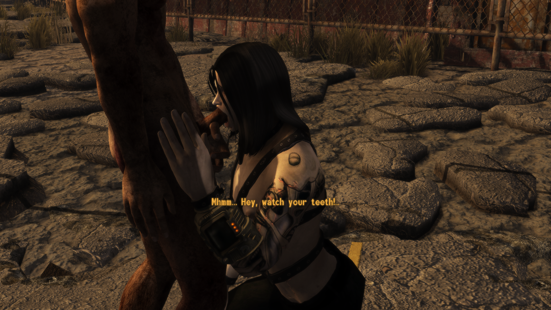 SPOILER_FalloutNV_2025-08-14_15-29-27.png.fe774bdffdd5a20d7553641293c98852.png