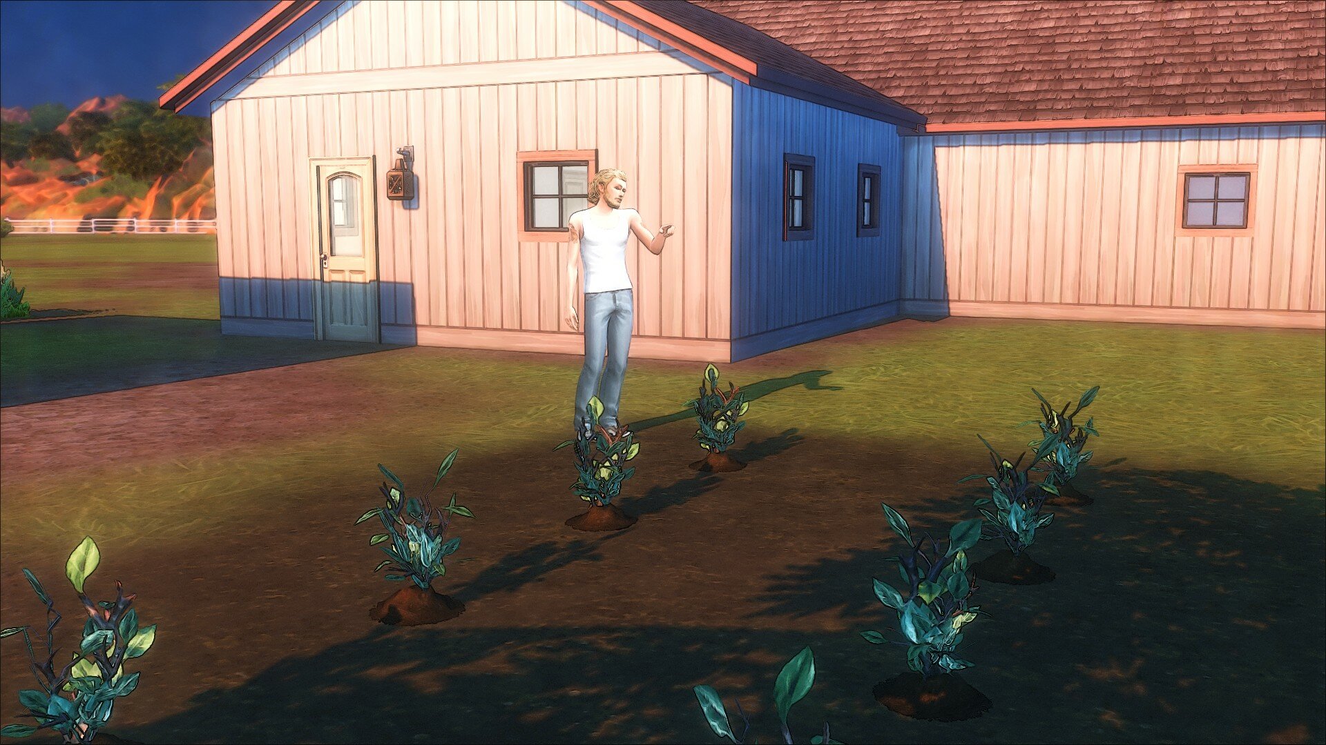TS4_x642025-08-3117-59-39_601.jpg.02d3a459d1f37985e1c2347a40c458b9.jpg