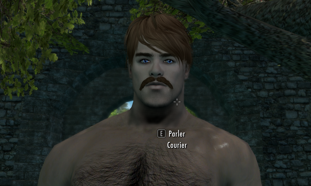 courier.png.1a264a95f295659512293492d52f51e1.png