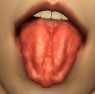 image.jpeg.03050a35acc16b01efec3437a65f5ac9.jpeg