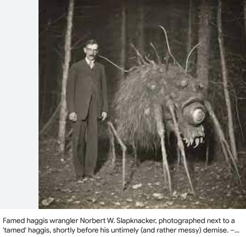 image.jpeg.b1df1778960bc12f3bebcd46916c256b.jpeg